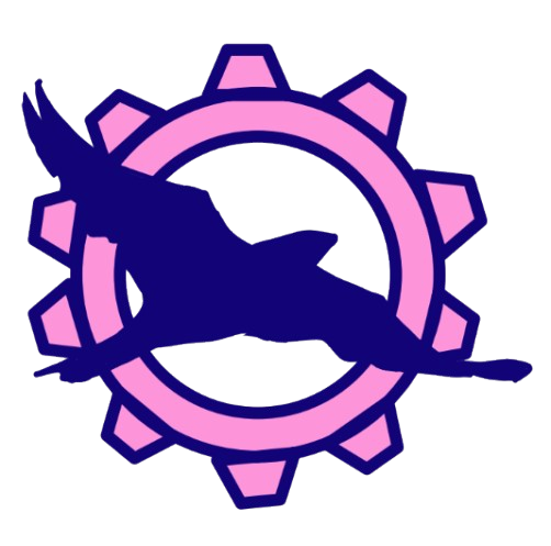 Nighthawks Logo
